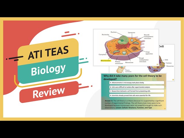 A photo showing the Teas test biology review